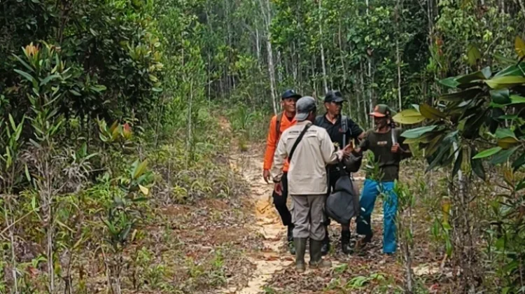Hari Ketiga, SAR Natuna Temukan Empat Warga Tersesat di Hutan Gunung Bedung dalam Ko