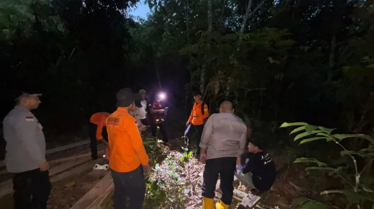 SAR Ingatkan Keselamatan saat Masuk Hutan