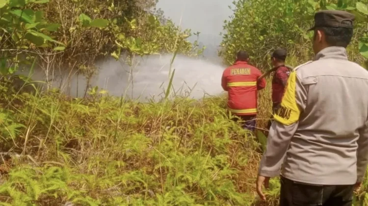 Kebakaran Lahan di Bunguran Batubi Meluas, Sekitar 45 Ha Terbakar
