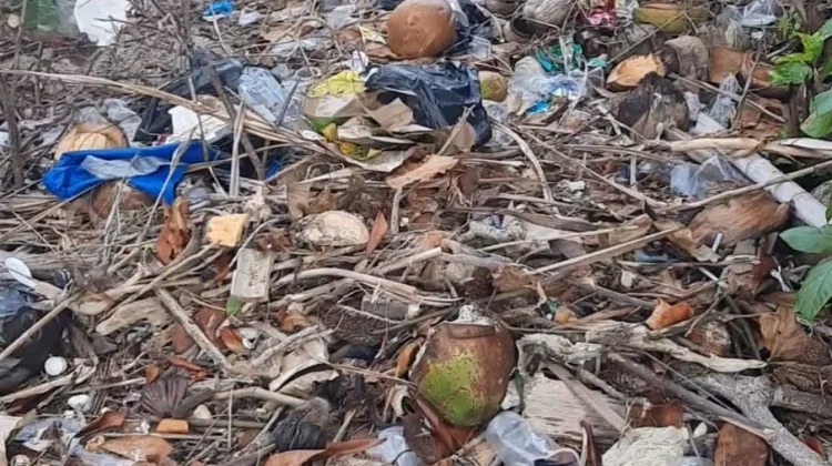 Pulau Senua, Aset Pariwisata Natuna dan Kepri yang Perlu Dijaga