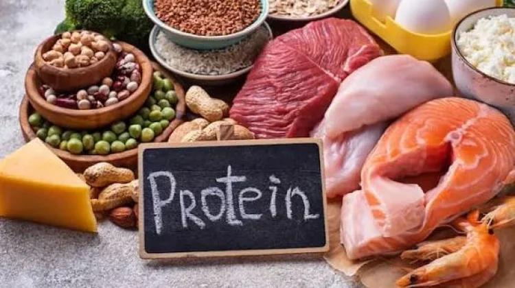 Pilihan Makanan Tinggi Protein untuk Dukung Tubuh Sehat