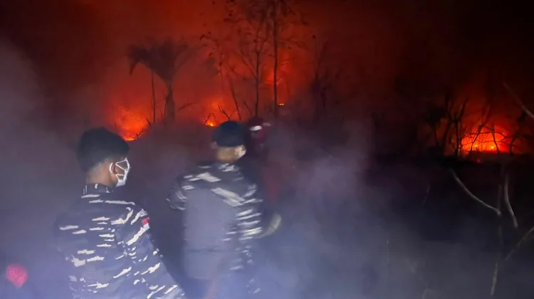 TNI AL dan Instansi Terkait Padamkan Karhutla 20 Ha di Batubi