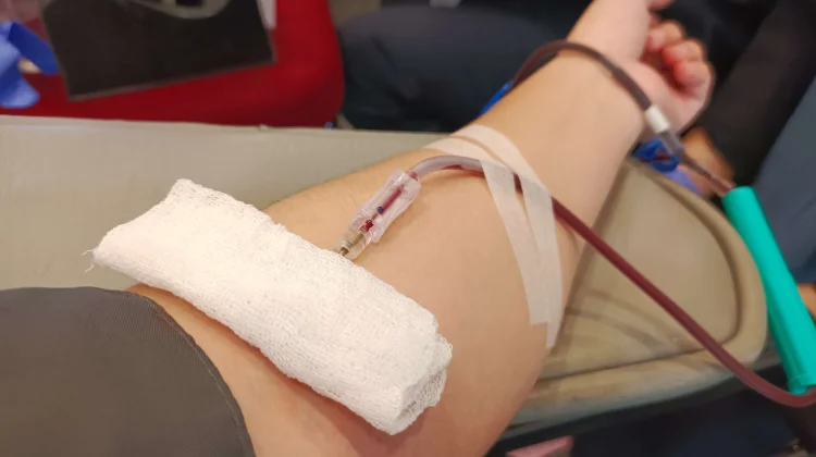 Cegah Pusing dan Pingsan, Ini Tips Penting sebelum Donor Darah