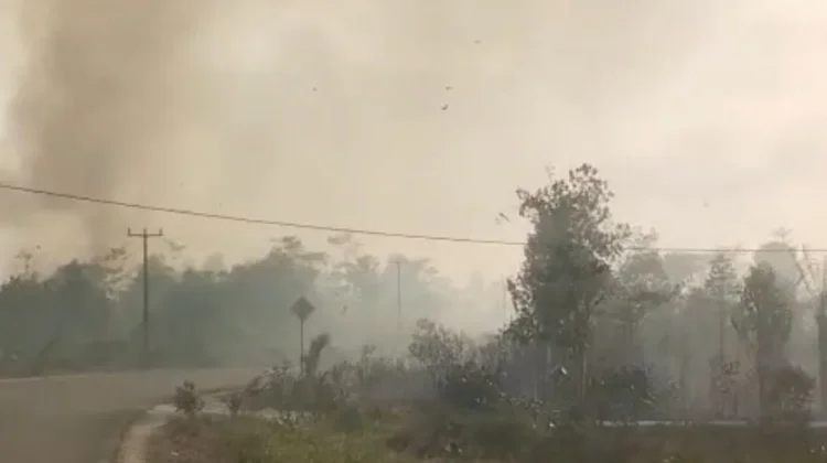 Pemerintah Bagikan Masker Antisipasi Dampak Kabut Asap