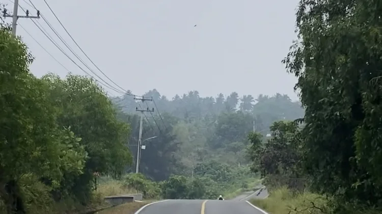 Kabut Asap Berisiko Ganggu Kesehatan, Masyarakat Diminta Waspada