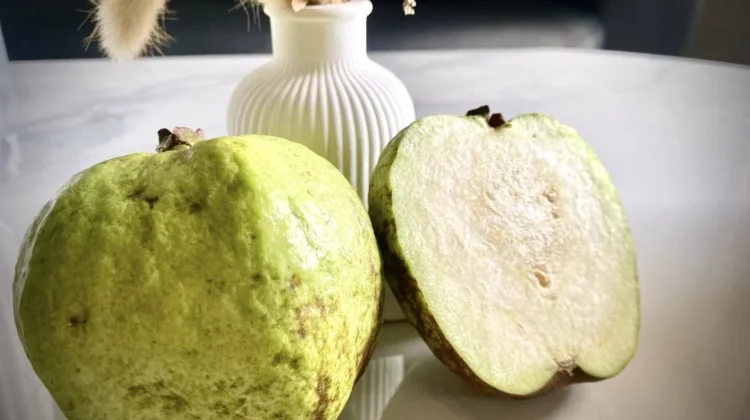 Jambu Biji, Buah Tropis Kaya Vitamin dan Antioksidan