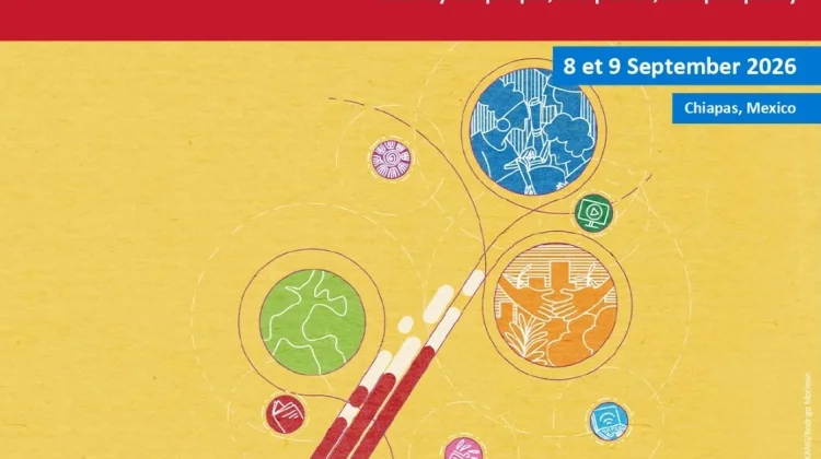 Tema Hari Literasi Internasional 2026