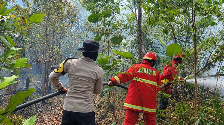 Lima Jam Berjibaku, Polres Natuna dan Damkar Cegah Api Meluas