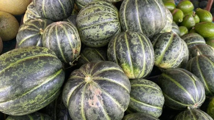 Blewah Kaya Air dan Nutrisi, Ini Manfaatnya bagi Kesehatan