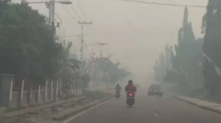 Kabut Asap Mengganggu Kesehatan, Kenali Bahaya dan Cara Mengatasinya