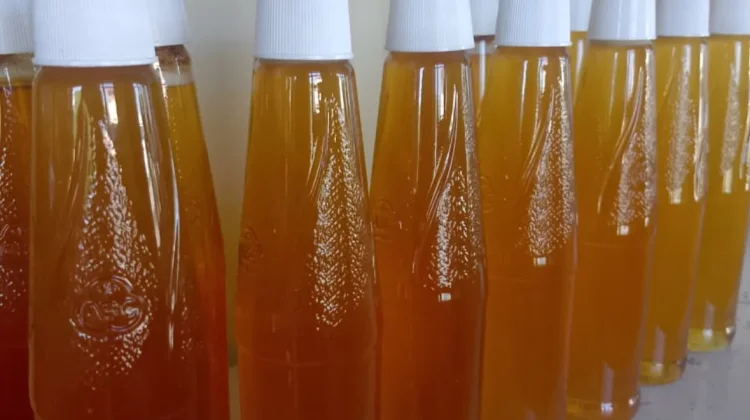 Permintaan Menurun, Harga Madu di Natuna Ikut Merosot