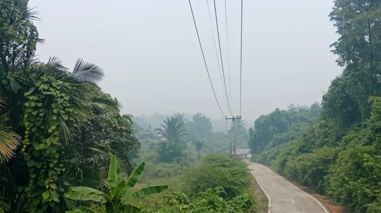 Kualitas Udara Serasan Timur Bervariasi, PM10 Masuk Kategori Tidak Sehat