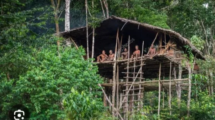 Mengenal Suku Korowai dipedalaman Papua Indonesia