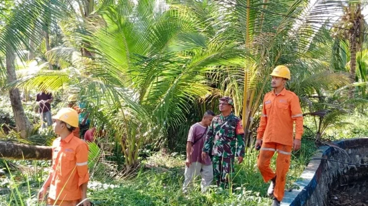 Babinsa Serasan Timur Bantu PLN Bersihkan Dahan Pohon yang Ganggu Jaringan