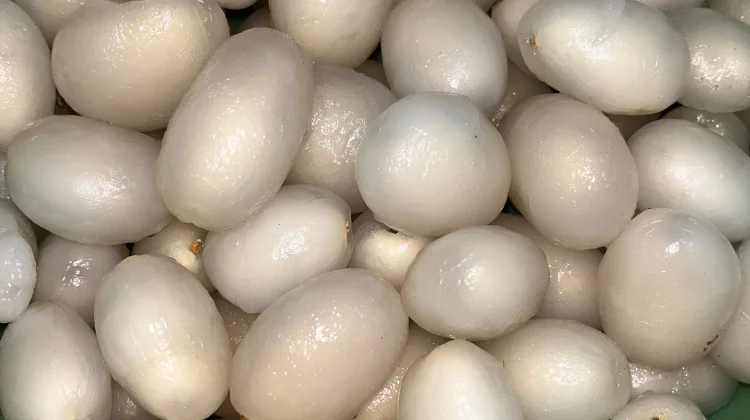Musim Rambutan Tiba, Buah Berbulu Kaya Manfaat untuk Kesehatan