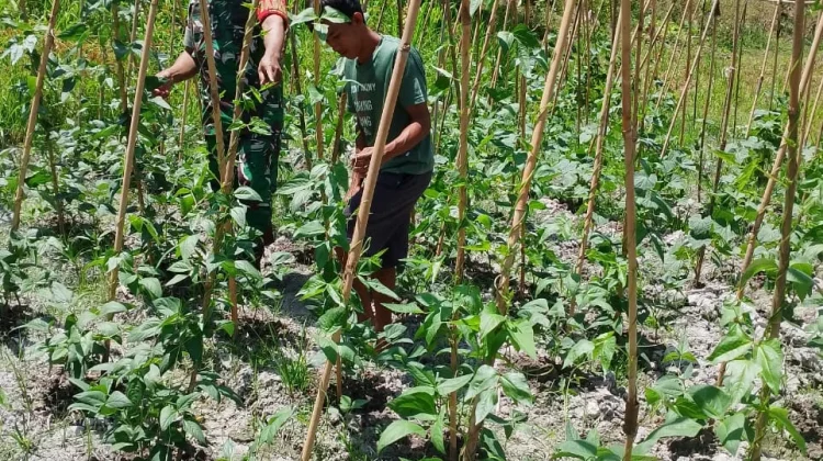 Babinsa Air Payang Jalin Komsos Dengan Warga