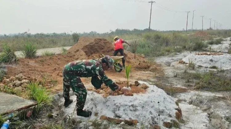 Babinsa Bantu Petani Tanam Kelapa di Jermalik