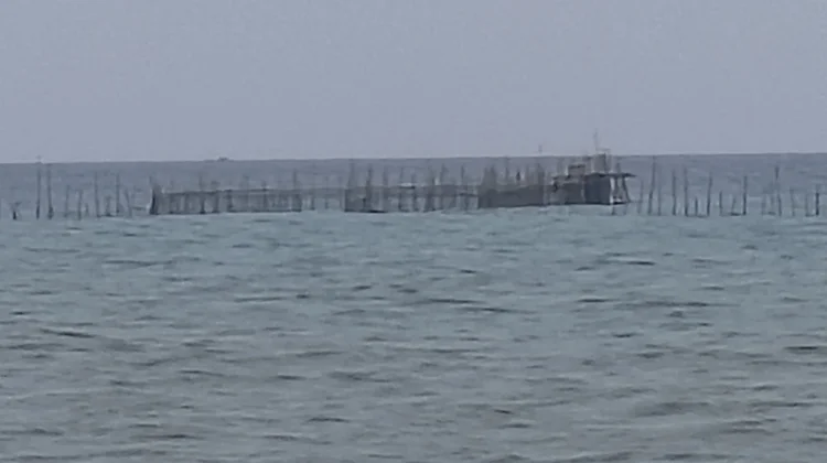 Kelong Alternatif Nelayan Menangkap Ikan Musim Utara di Natuna