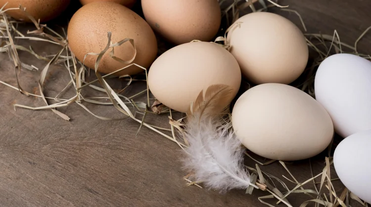 Tips Memilih Telur yang Baik, Kenali Bentuk dan Kondisi Cangkangnya