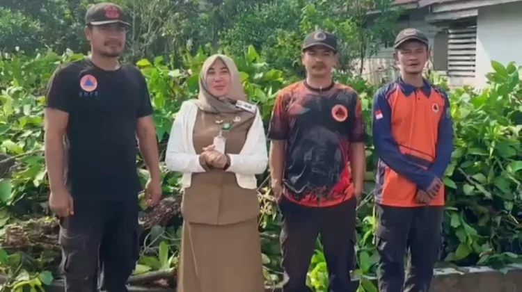 BPBD Natuna Bantu Tebang Pohon Berbahaya di Ranai Darat