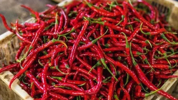 Cabe, Ini Manfaatnya untuk Saluran Pencernaan