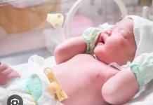 Berapa Lama Bayi yang Baru Lahir Bertahan tanpa Asi