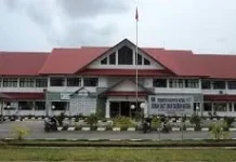 Warga Diminta Waspadai Gejala DBD di Natuna
