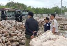 Kelapa Bulat Natuna dikirim ke Tanjungpinang Capai 148,89 Ton