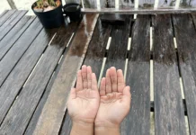 Kehujanan Berisiko Bahayakan Kesehatan, Ini Fakta dan Tipsnya