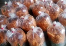 Urap Tradisional,Jadi Pilihan Menu Berbuka Puasa