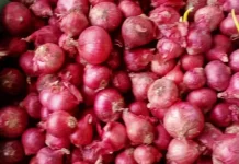 Cara Menyimpan Bawang Merah agar Tahan Lama