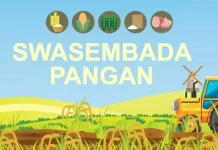 Swasembada Pangan Melalui Food Estate Modern