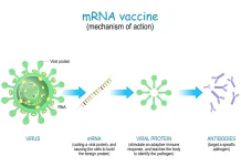 Mekanisme Kerja Vaksin mRNA dalam Imunoterapi Kanker