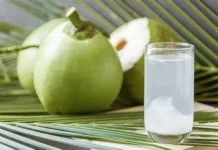 Air Kelapa Adalah Takjil Terbaik untuk Berbuka Puasa