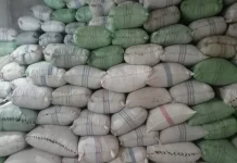 “Emas Hitam” dari Midai