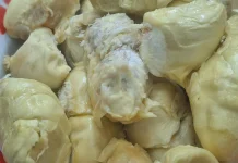 Mengenal Buah Durian, Buah Khas Asia Tenggara