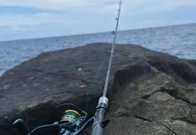 Tips Memancing Ikan Karang