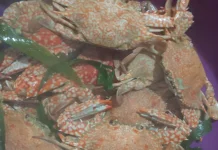 Tumis Pedas Kepiting, Menu Berbuka yang Menggugah Selera