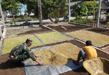 Sertu Y.Harefa Babinsa Air Kumpai Komsos Bersama Petani Cengkeh Warga Desa Binaan
