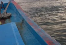 Cuaca Membaik, Harga Ikan Turun