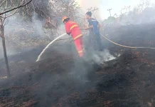 Damkar Natuna Atasi Kebakaran Lahan di Air Mulung