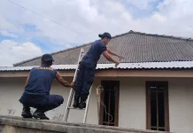Damkar Natuna Evakuasi Biawak di Plafon Rumah