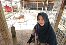 Ayuandira Dorong Anak Daerah Berwirausaha