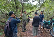 Pemda Natuna Siapkan Lahan Gudang Bulog di 3 Kecamatan