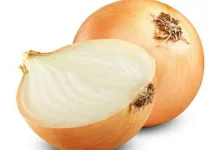 Manfaat Bawang Bombai untuk Kesehatan Tubuh