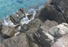 Keanekaragaman Hayati Natuna Jadi Daya Dukung