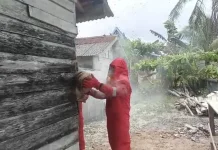Damkar Natuna Basmi Sarang Lebah Madu di Sepempang