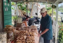 Menjamurnya pedagang dadakan jelang lebaran Idul Fitri 1447 H
