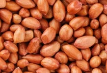 Manfaat Kacang Tanah untuk Ibu Hamil