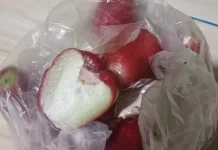 Manfaat Jambu Air untuk Mpasi